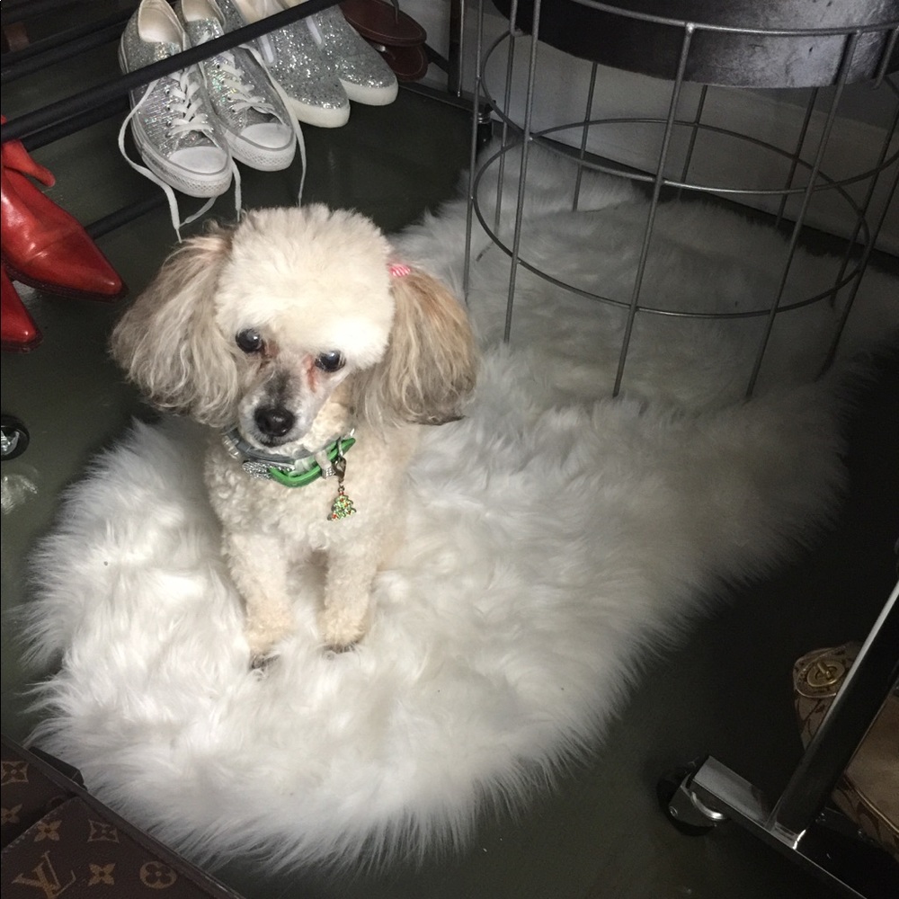 Meet your Posher, Rosalind